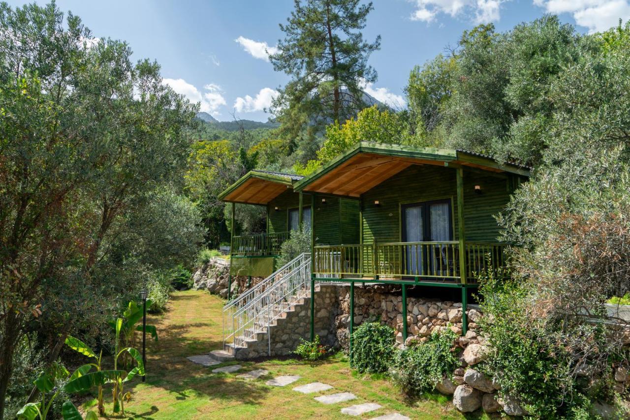 Apa Mountain Lodge Antalya Exterior photo